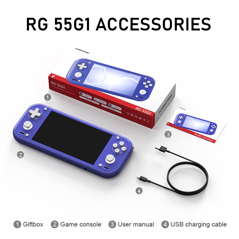 RG 55G1 accessories: the Indigo console, its gift box, user manual and USB charging cable